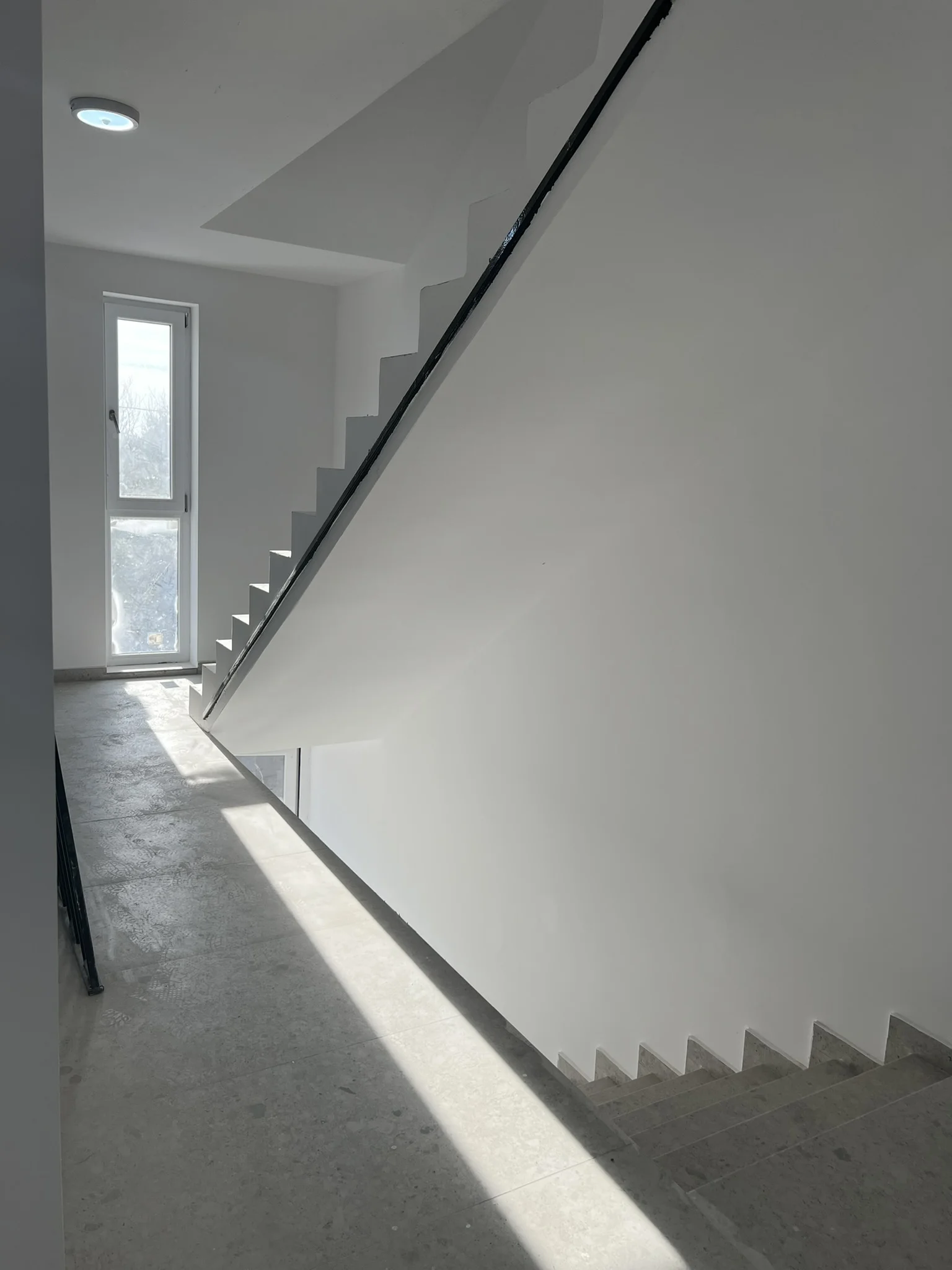 Parcul Romanescu galerie 28