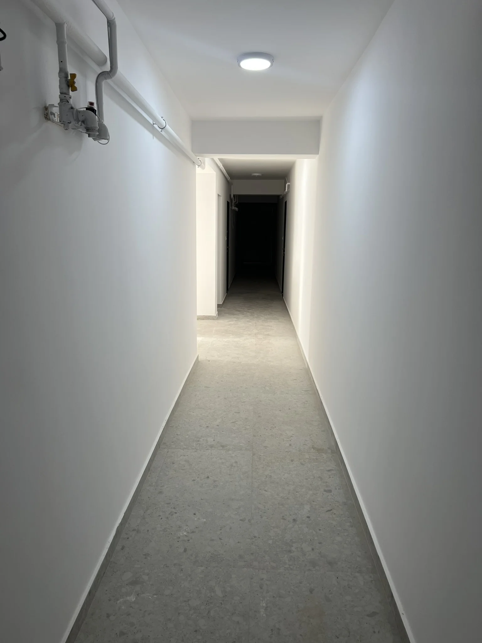 Parcul Romanescu galerie 29